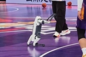 会卖萌会空翻的机器狗再现WCBA全明星！你爱了吗？