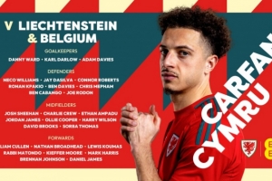 威尔士名单：布伦南-约翰逊、哈里-威尔逊、丹尼尔-詹姆斯在列