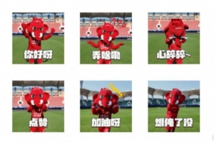 收藏 | “巴布的喷空日记” 实拍表情包来啦！